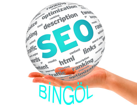 bingol-seo-seo-paketleri