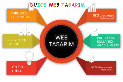 duzce-web-tasarim